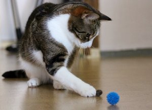 IMG_1393 (640x464).jpg