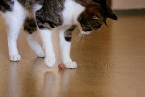 IMG_1410 (640x427).jpg