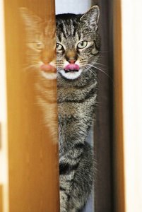 IMG_1420 (427x640).jpg