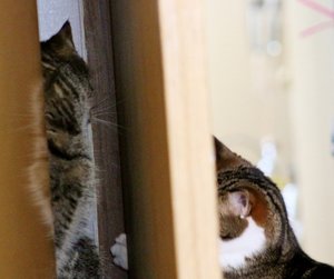 IMG_1424 (640x534).jpg