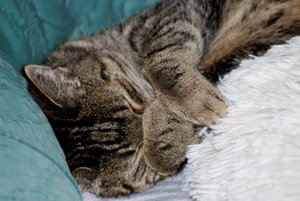 IMG_1446 (640x427).jpg