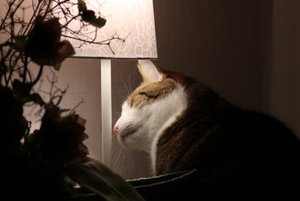 IMG_1463 (640x427).jpg