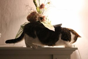 IMG_1482 (640x427).jpg