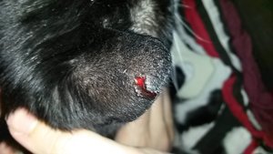 uploadfromtaptalk1433271517011.jpg uploadfromtaptalk1433271517011.jpg