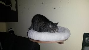 uploadfromtaptalk1433272421865.jpg uploadfromtaptalk1433272421865.jpg