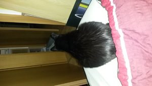 uploadfromtaptalk1433272656804.jpg uploadfromtaptalk1433272656804.jpg