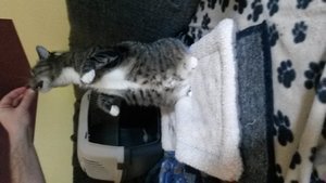 uploadfromtaptalk1433272866540.jpg uploadfromtaptalk1433272866540.jpg