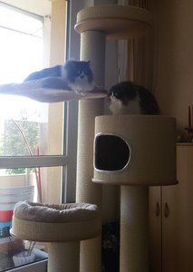 20150606_135301 (2).jpg