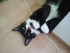 2015-06-07 18.26.24.jpg