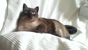 2014-06-29 18.22.53.jpg