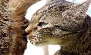 IMG_2222 (640x390).jpg