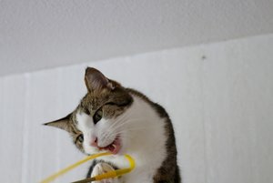 IMG_2191 (640x427).jpg