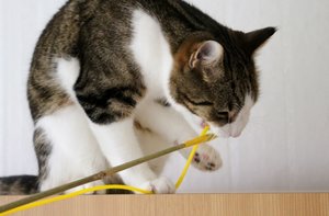 IMG_2192 (640x419).jpg