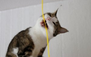 IMG_2195 (640x401).jpg