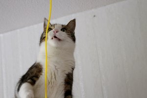 IMG_2197 (640x427).jpg