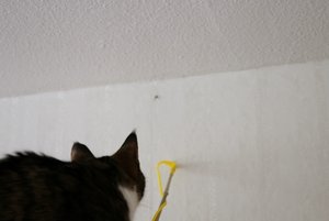 IMG_2199 (640x427).jpg