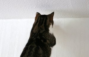 IMG_2200 (640x414).jpg