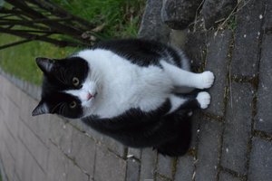 2015_04_03 DSC_0051.JPG