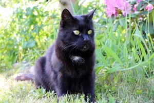 IMG_1967 (640x427).jpg