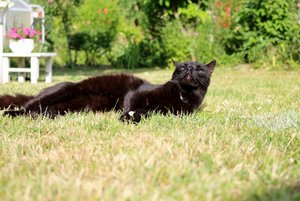 IMG_1983 (640x427).jpg