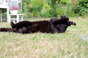 IMG_1988 (640x423).jpg