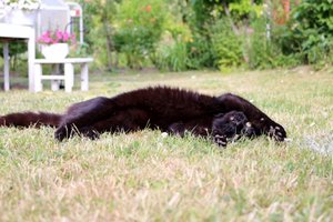 IMG_1989 (640x426).jpg