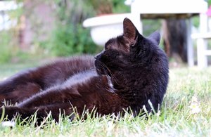 IMG_1994 (640x414).jpg