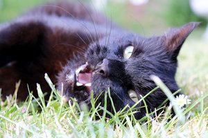 IMG_1999 (640x426).jpg