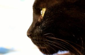 IMG_2027 (640x415).jpg