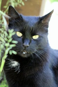 IMG_2052 (426x640).jpg