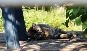 IMG_2123 (640x377).jpg