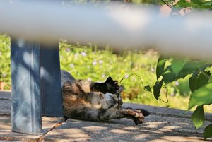 IMG_2125 (640x427).jpg