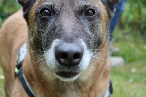 IMG_2302 (640x426).jpg