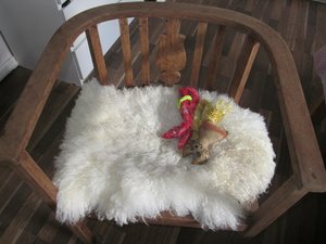 Myras pupsis 001.jpg