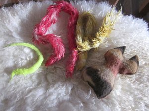 Myras pupsis 002.jpg