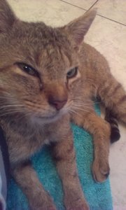 IMAG0514.jpg IMAG0514.jpg