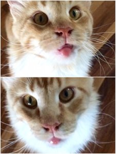 ImageUploadedByTapatalk1435319622.366647.jpg ImageUploadedByTapatalk1435319622.366647.jpg