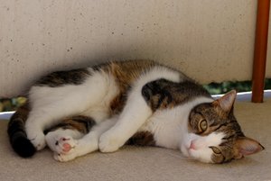 IMG_2394 (640x427).jpg