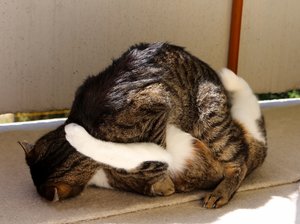 IMG_2408 (640x476).jpg