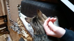 uploadfromtaptalk1435428232333.jpg uploadfromtaptalk1435428232333.jpg