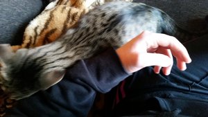 uploadfromtaptalk1435428278250.jpg uploadfromtaptalk1435428278250.jpg