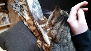 uploadfromtaptalk1435428322630.jpg uploadfromtaptalk1435428322630.jpg