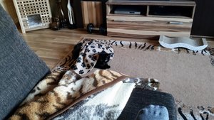 uploadfromtaptalk1435431011105.jpg uploadfromtaptalk1435431011105.jpg