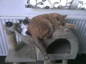 2015-03-04 13.34.24.jpg