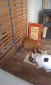 IMAG0579.jpg IMAG0579.jpg