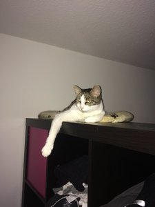 2015-07-20 20.38.52.jpg