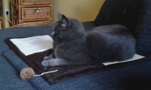 20150513_202022 1.jpg