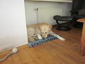 Fanta im Glück 004.jpg