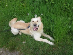 Fanta 17.05.2015 003.jpg