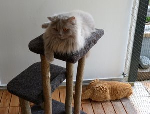 Quincy und Reddi.jpg